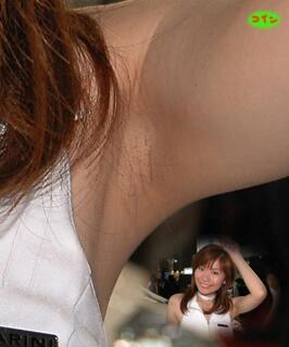 10446 - 266 x 320 [12KB]
